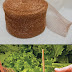 Slugs, Rats and Mice Control