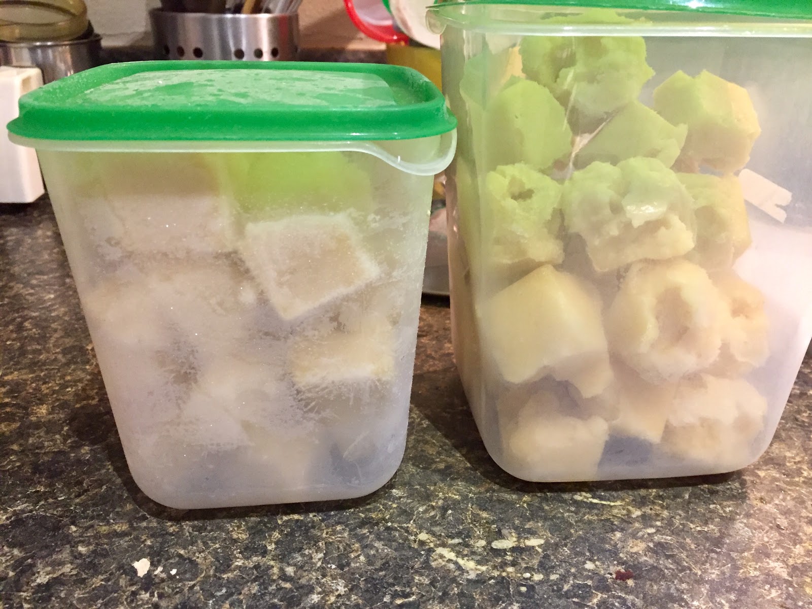 GINGER GARLIC PASTE frozen cubes