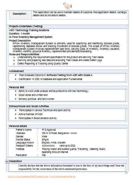 no experience cv