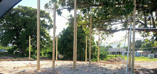 Medio Ambiente da 72 horas para que paralicen edificación próxima al río Biran