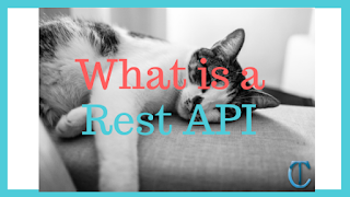 What is a REST API
