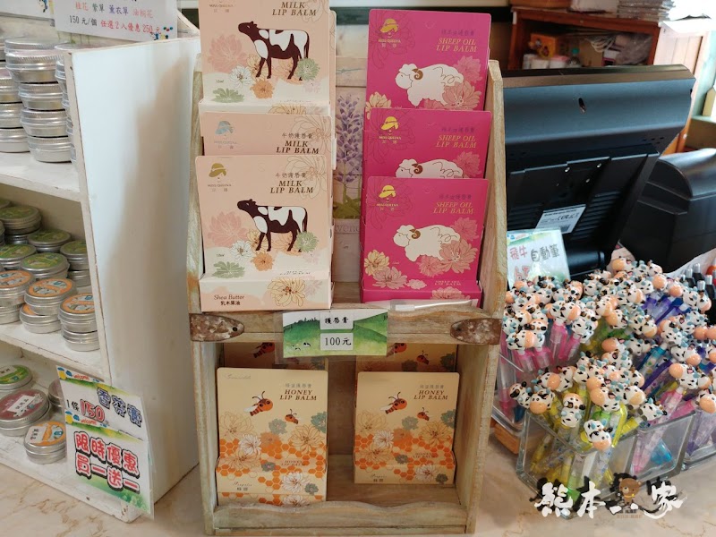 苗栗飛牛牧場|飛牛廣場、牧場工房、庭園木屋、牧場原憩、童玩區|園區環境