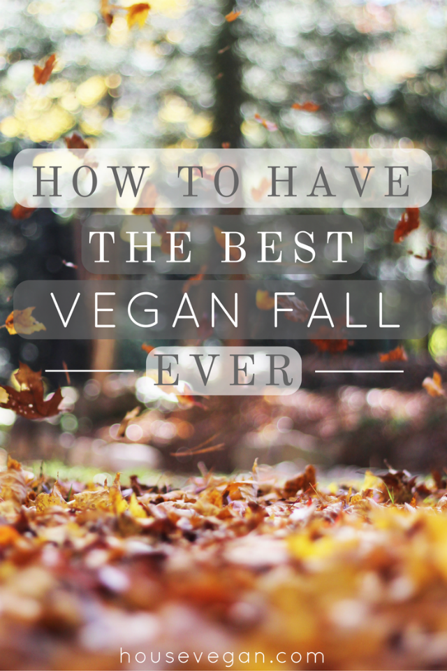 How to Have The Best Vegan Fall Ever - It's just a few steps away! Make time to cook your favorite vegan fall recipes, to watch your favorite Halloween movies, and to cross off items from that vegan fall bucket list. Click here to learn how, and to receive 30% off of my fall eBook, "Fall FoMo No More"! vegan fall, vegan autumn, best vegan fall, best vegan autumn, best vegan fall recipes, best vegan fall food, vegan halloween food, vegan thanksgiving, how to have a good vegan fall, planning vegan fall, planning vegan autumn, best vegan halloween, best vegan thanksgiving, vegan bucket list, vegan fall bucket list, vegan autumn bucket list
