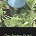 Salad Bowl Planting Time!