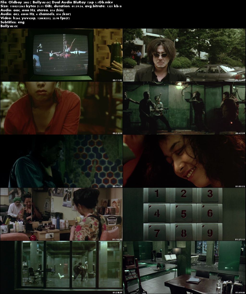 Oldboy 2003 BluRay 400MB Hindi Dubbed Dual Audio 480p Download