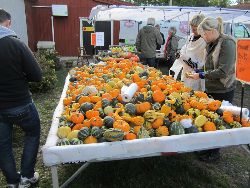 På Skärgårdsgatan Ölands skördefest
