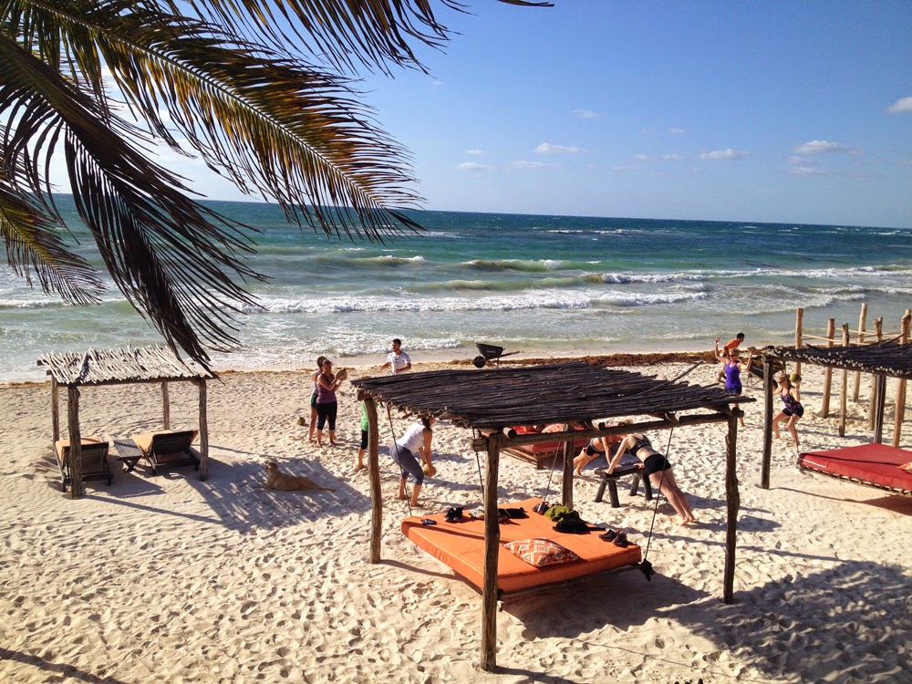 Remarkable, bikini boot camp in riviera maya can recommend Agree, bikini boot camp in riviera maya