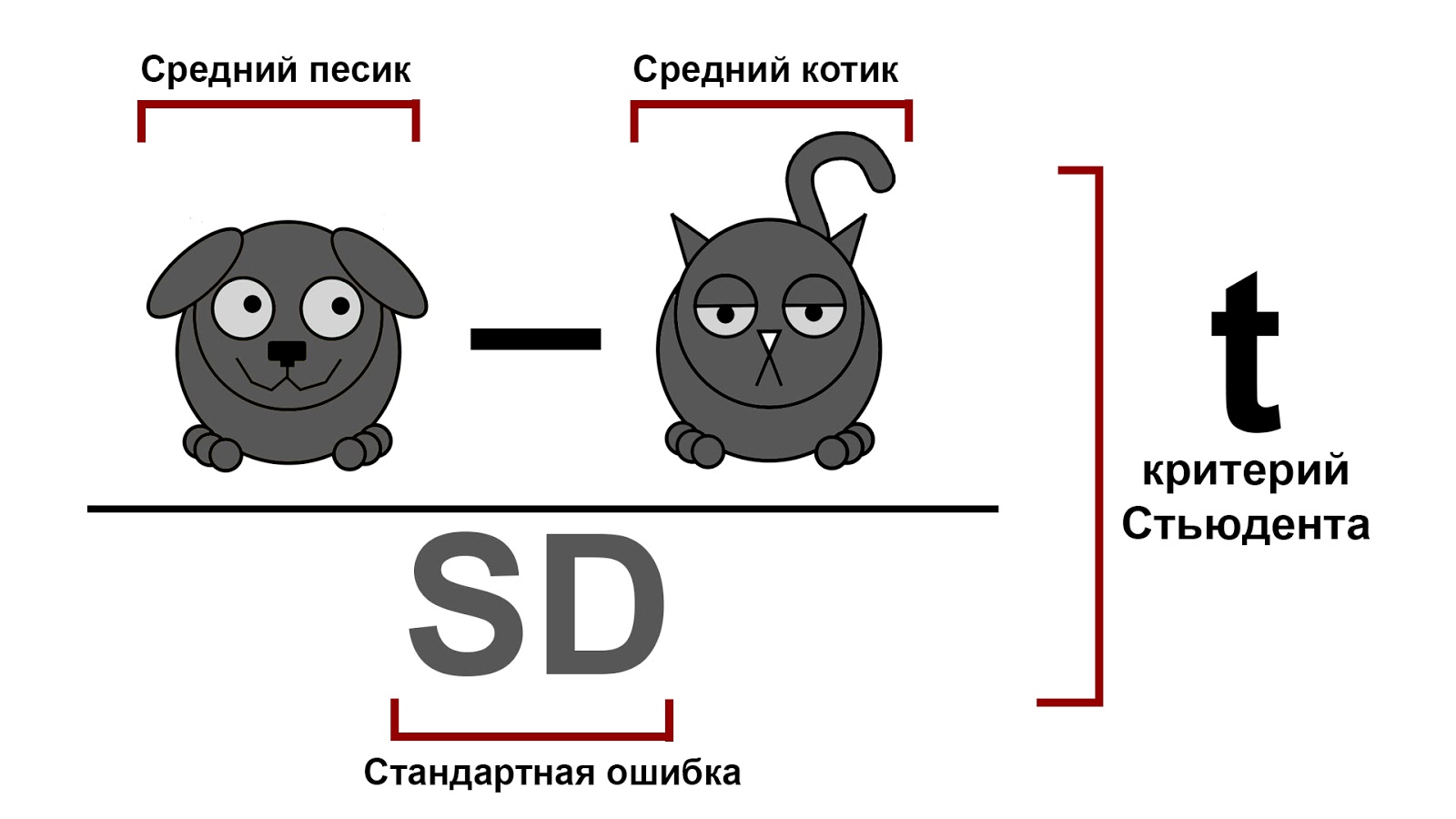 Скачать статистика и котики