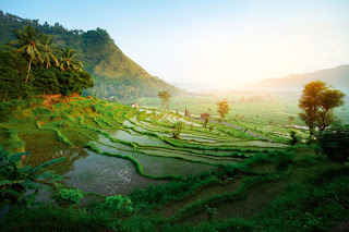 Gambar Pemandangan Bali 2