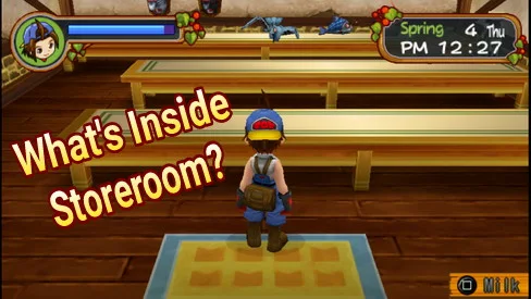 How to Complete Rare Items in the Storeroom Harvest Moon: Hero of Leaf Valley