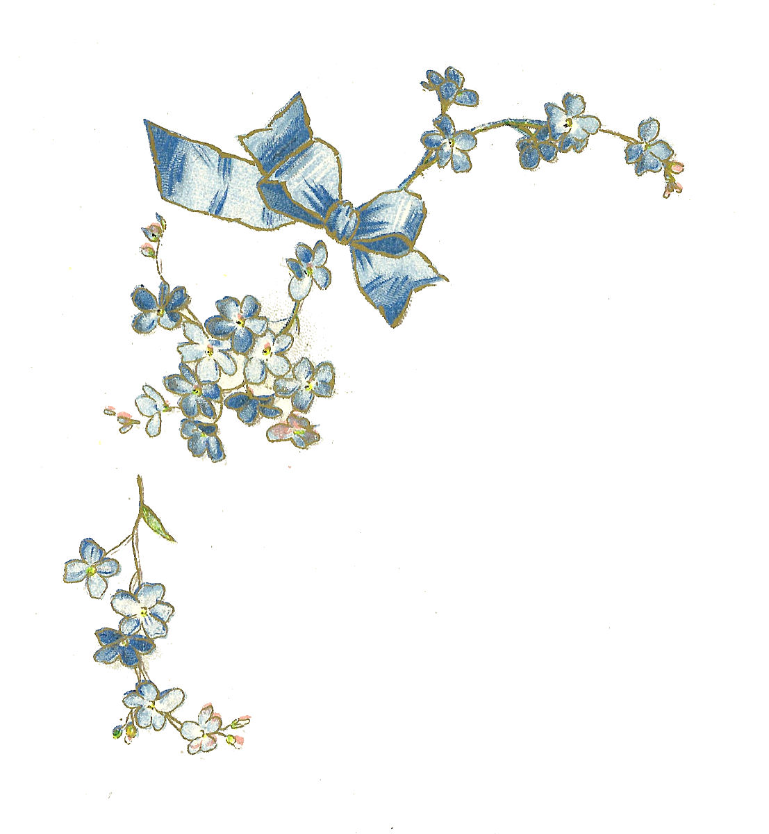 free clip art forget me not flowers - photo #16