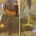 PAY ATTENTION: THIS WILL ELIMINATE YOUR PROBLEMS IN THE BONES AND JOINTS FOR YEARS!
