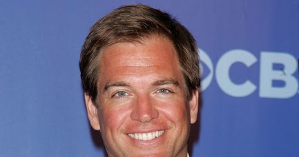 All Top Hollywood Celebrities: Michael Weatherly Biography and Pictures ...