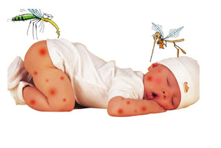 chống muỗi cho bé 