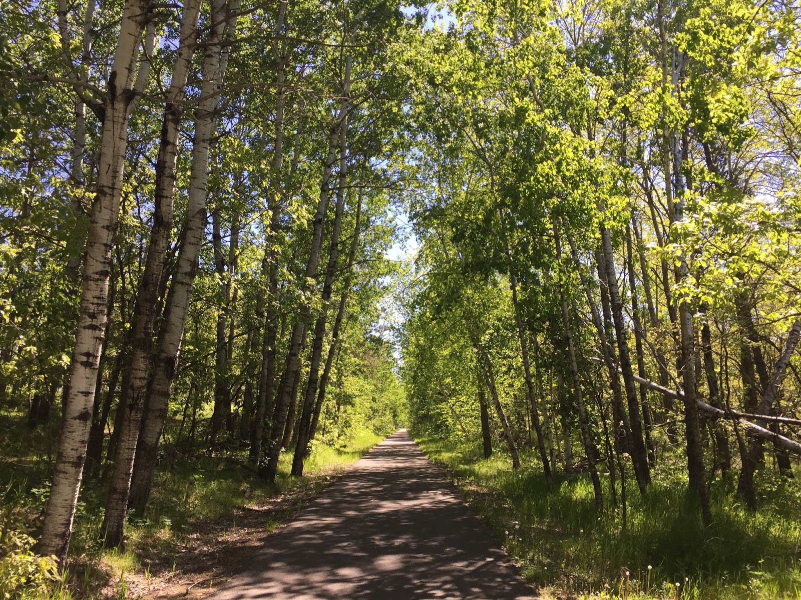 Along the Way Heartland State Trail Park Rapids to Walker (MN)
