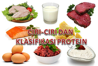 Pengertian Ciri-Ciri Dan Klasifikasi Protein