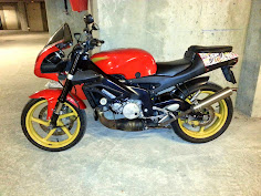 Aprilia Tuono 125 2014 Vito's Motorcycle #6