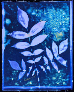 Wet Cyanotype_Sue Reno_Image 135