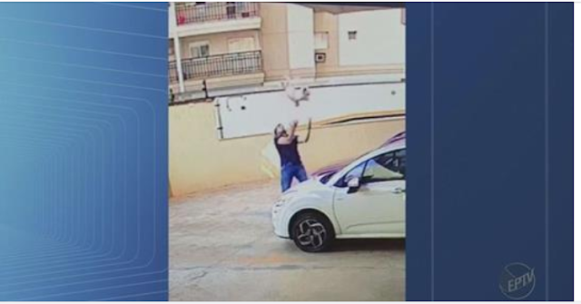 Cão cai do 9º andar de prédio e é salvo por vizinho; veja vídeo Shih Tzu cai do 9º andar de prédio e é salvo por vizinho; veja vídeo