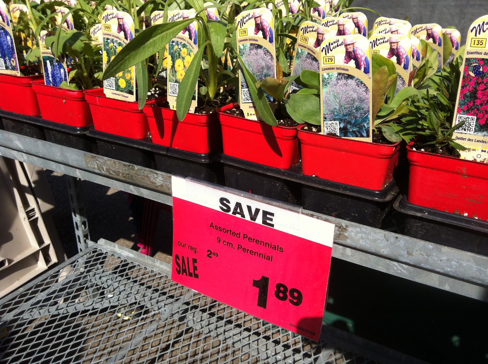 Meredith's Garden Blog Canadian Tire Garden Centre Spring Review 2013