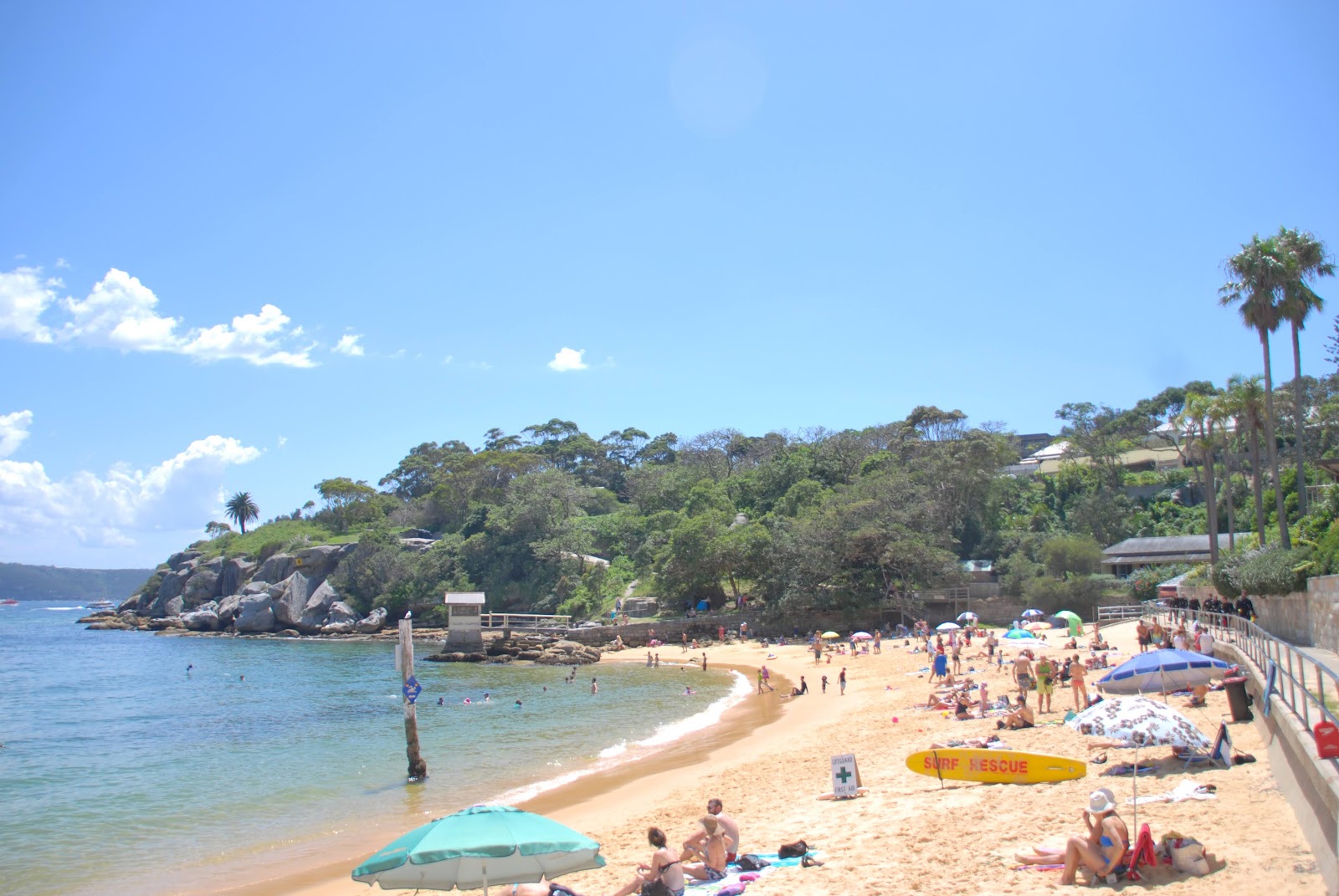 Woody at Home Lady Bay Beach Watsons Bay Woody at Home Lady Bay Beach Watsons Bay