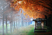 Perché l'Autunno è la stagione più bella
