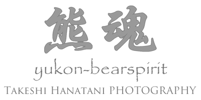 http://yukon-bearspirit.com