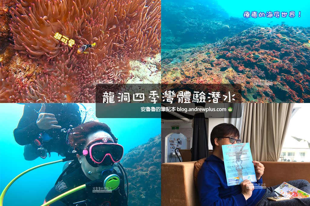 龍洞四季灣潛水,東北角潛潛,東北角體驗潛水