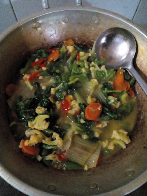 Perbedaan Asam Folat Dengan Folat