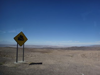 Atacama Atacama