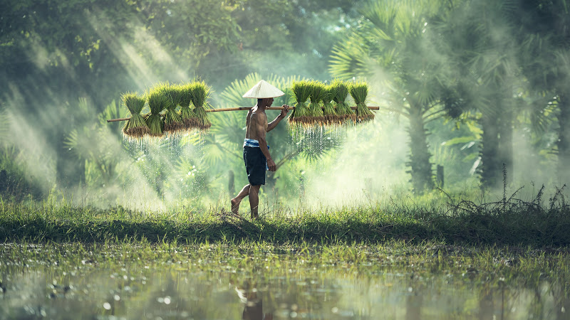 Journey 2 through Asia