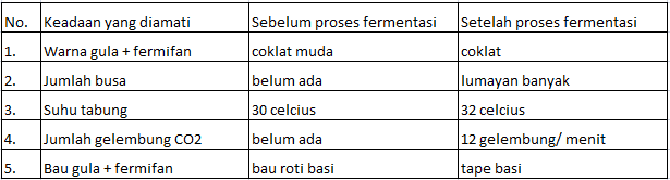 Jelaskan perbedaan antara fermentasi alkohol dan fermentasi cuka