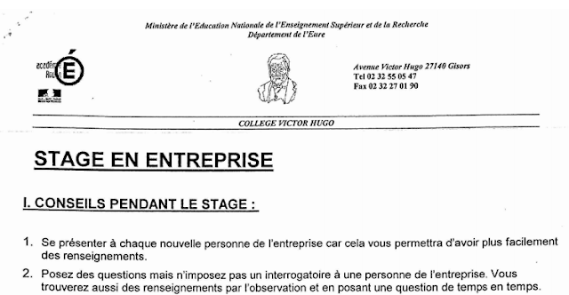 La découverte professionnelle 3h: Exemple de rapport de stage de 3ème