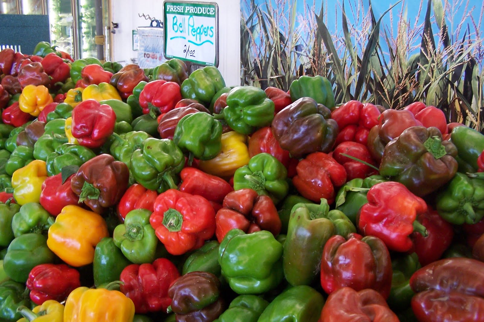 And So it Goes in Shreveport Full Metal Jacket Reach Around The