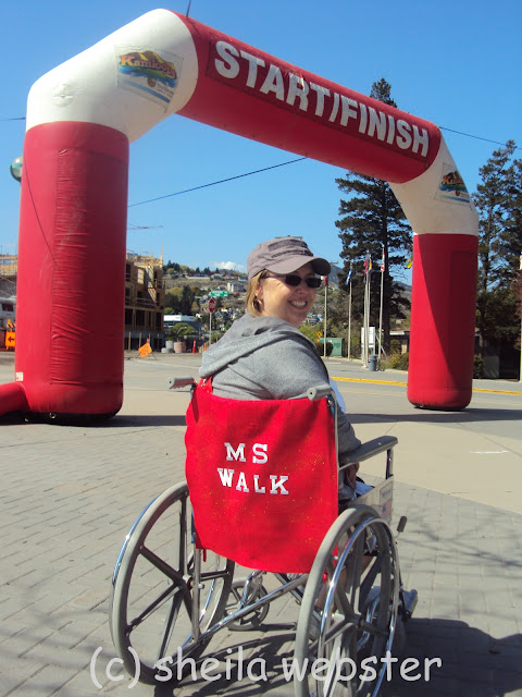 Kim sits in her wheelchair at the start/finish line of the MS Walk and shows the decorations to dress up her wheelchair and celebrate the day.