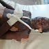 Boko Haram: Multiple Bomb Attack In Maiduguri Kills 5, Wounds Scores - Photos