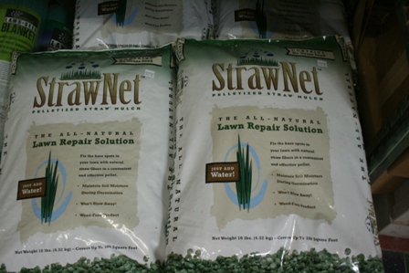 Best Lawn Fertilizer >> The Flower Bin: Surprise! Now is the best time to seed ... Best Lawn Fertilizer >> The Flower Bin: Surprise! Now is the best time to seed ...