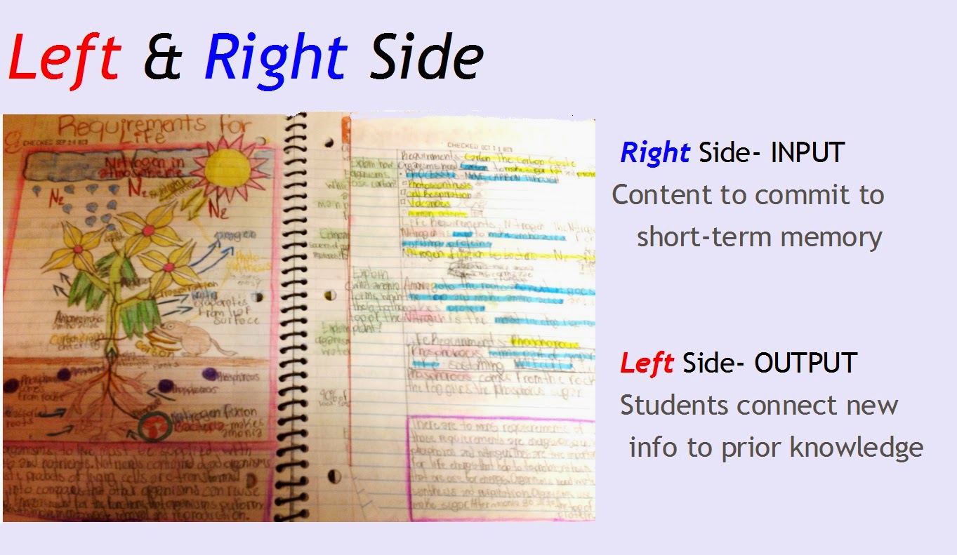 Biology Knights YOUR Interactive Notes YOUR INTERACTIVE NOTEBOOK