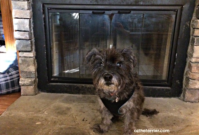 Dog Friendly Days Nights At Indian Springs State Park Oz The