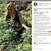 Apresentadora da Globo posta e depois apaga foto em plantação de maconha