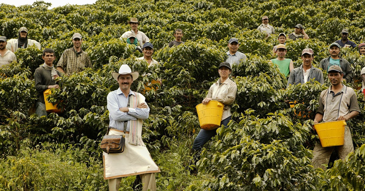 beverage upon beverage upon beverage Colombian coffee