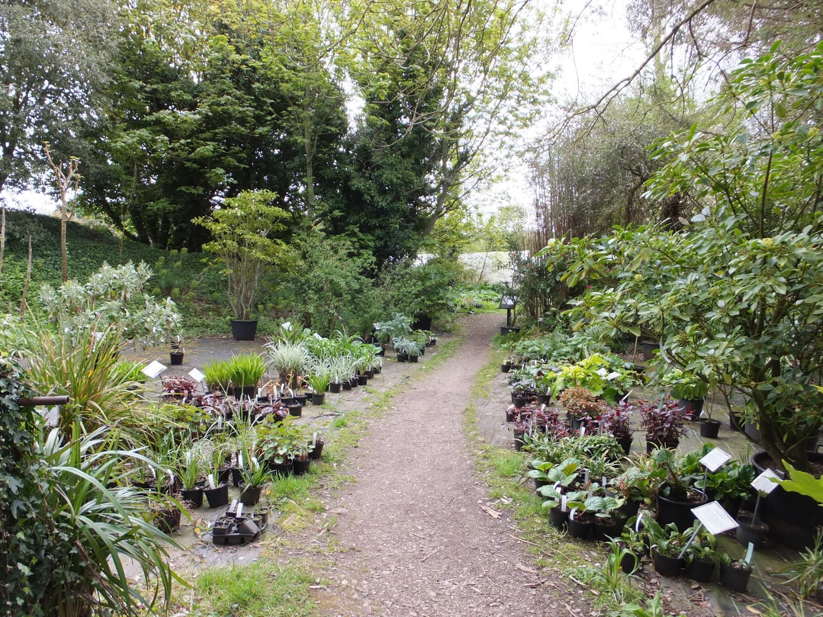 Alternative Eden Exotic Garden Cornwall Day One