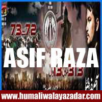 http://ishqehaider.blogspot.com/2013/11/asif-raza-khan-nohay-2014.html