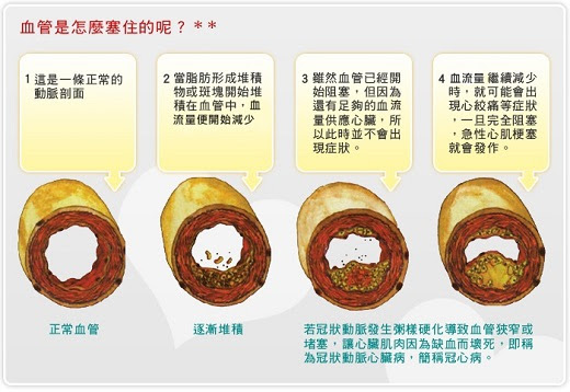 維生素E-女人的仙丹