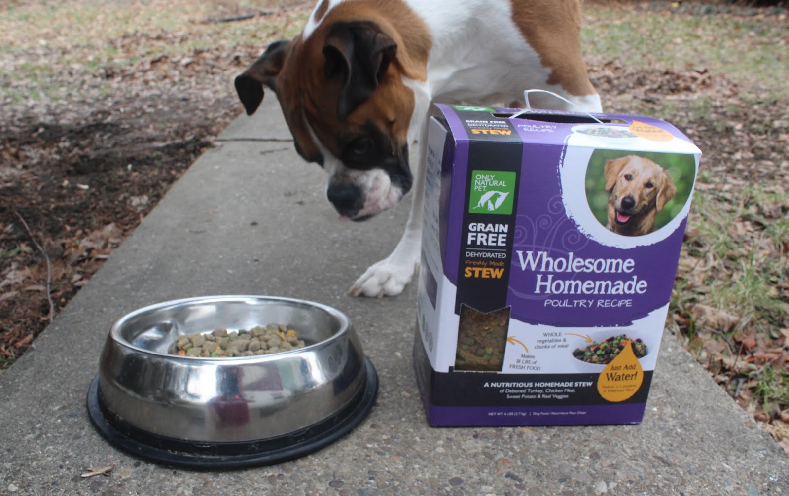 Dog Madness Freshly Nutritious Balanced & Complete Wholesome Homemade