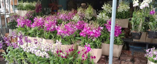10 Best Places To Travel In Bangkok 10 Best Places To Travel In Bangkok
