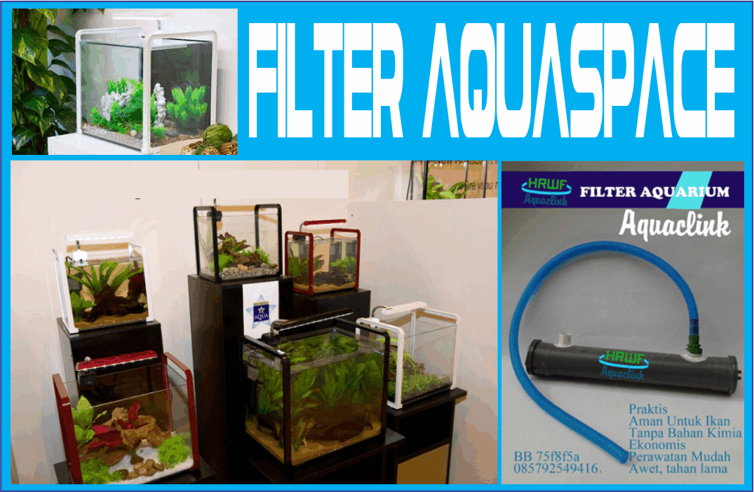 Cara Membuat Filter Aquaspace Aquarium Membuat Filter Aquaspace Aquarium