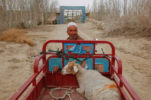 Image Attribute: A man delivers a sheep to the mosque at the tomb of Imam Asim in the Taklamakan Desert outside the village of Jiya near Hotan, Xinjiang Uighur Autonomous Region, China, March 21, 2017.  REUTERS/Thomas Peter