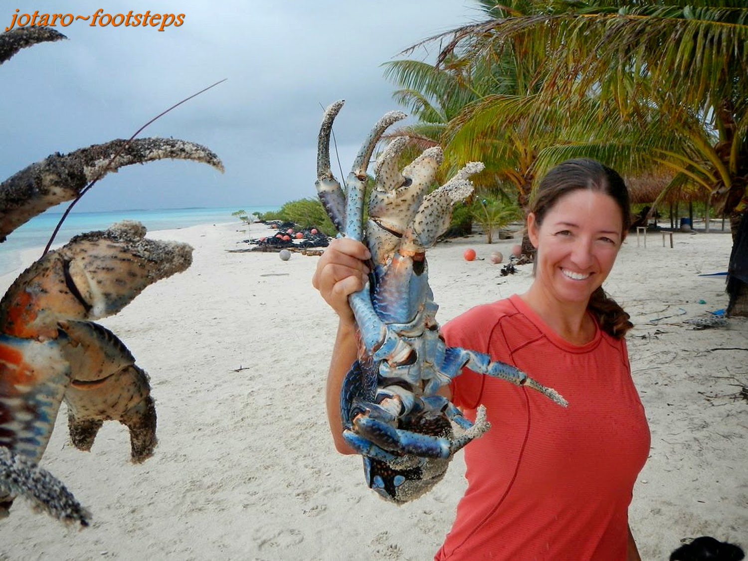 Footsteps Jotaro's Travels YummY! Coconut Crabs Hiro'sBatanes