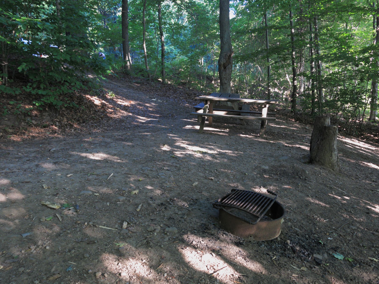 The Campsites Fair Haven Beach New York State Park, site 416